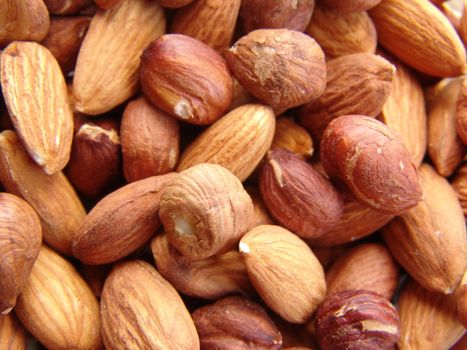 Close up on raw shelled hazelnuts and almonds