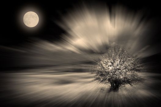 abstract motion blured background with alone tree and moon