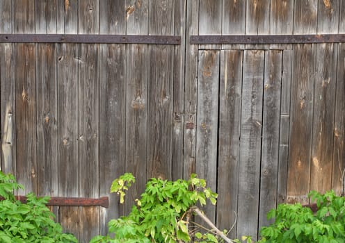 Old wooden achromatic gate