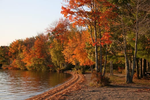 along a Maine shoreline, trees in colorful Autumn foliage