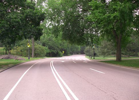 New York. A picturesque road in the Central Park. Right-hand side of the road is for cars, a half of left side - for bicyclist, and the road shoulder - for runners. 