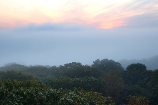 Foggy (hazy) forest and early scarlet sunrise.