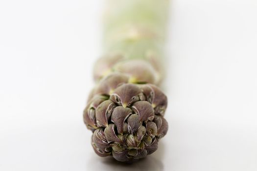 closeup of one green tip of an asparagus