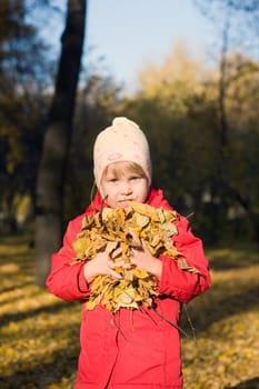 The picture is made during walk on a botanical garden