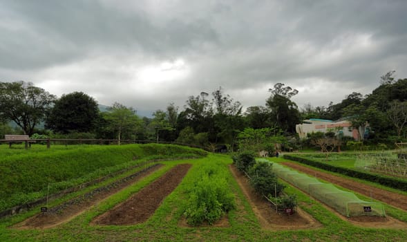 field under storm
