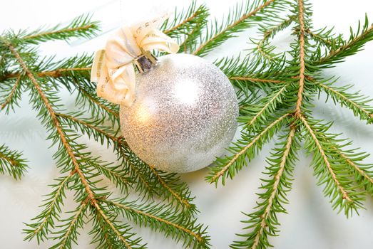 Christmas bauble  on background of the fur branches