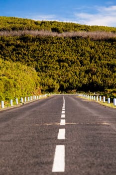 Mountain road in Madeira Island