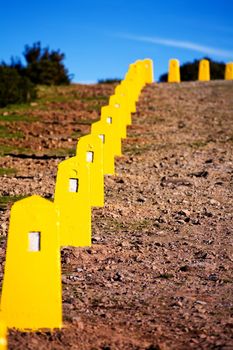 Yellow restrictive posts in Madeira mountains 