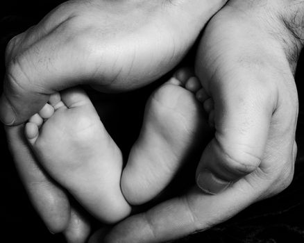 Father's two hands clasped around his newly born baby