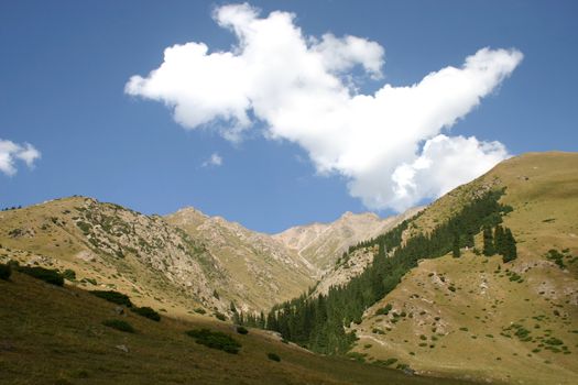 Travel on mountains and rivers of Kyrgyzstan.