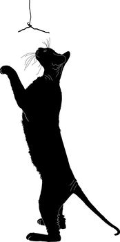 silhouette of a cat, a black silhouette, cat sphinx, purebred cat, cat sitting, cat sat down, a cat plays, long legs, big mustache