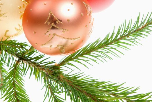 Christmas bauble  on background of the fur branches