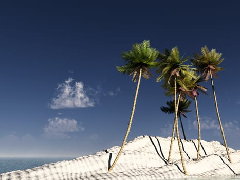 A palm tree island with a sky background.