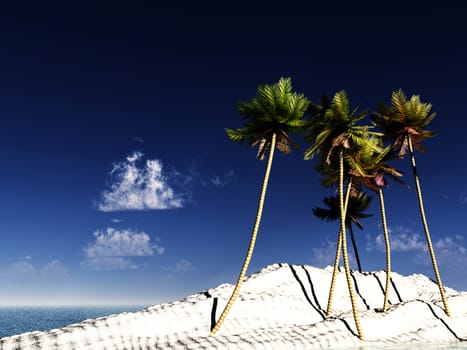 A palm tree island with a sky background.