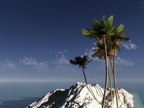 A palm tree island with a sky background.