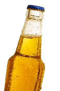 Clear beer bottle over the white background