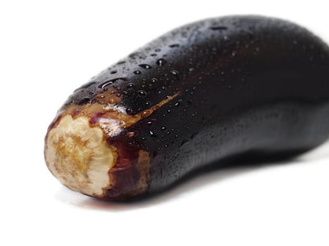 Fresh whole purple eggplant vegetable with water droplets, towards white background