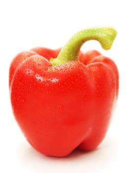 Red pepper vegetable, whole, closeup towards white background