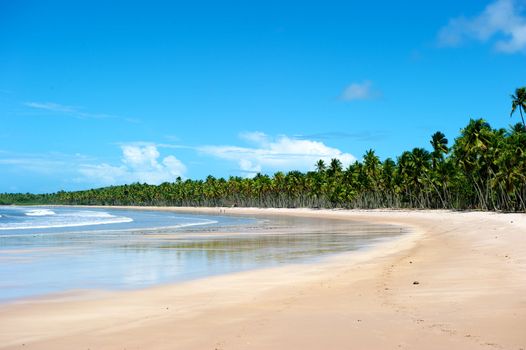 Paradise beach in Ilha do Boipeda, Morro de Sao Paulo, Bahia State, Brazil