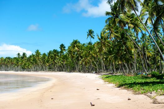 Paradise beach in Ilha do Boipeda, Morro de Sao Paulo, Bahia State, Brazil