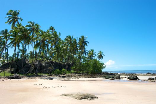 Paradise beach in Ilha do Boipeda, Morro de Sao Paulo, Bahia State, Brazil