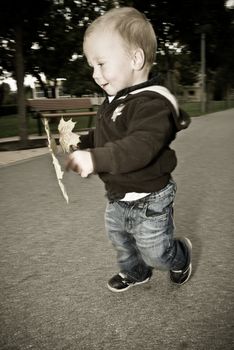 a little boy walking on the pavement with some leave in his hands