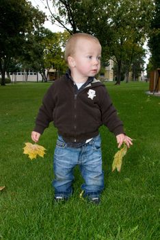 a little boy standing on the lawn with some fallen leaves on his hands