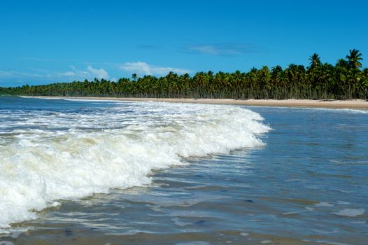 Paradise beach in Ilha do Boipeda, Morro de Sao Paulo, Bahia State, Brazil