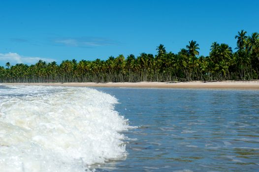 Paradise beach in Ilha do Boipeda, Morro de Sao Paulo, Bahia State, Brazil