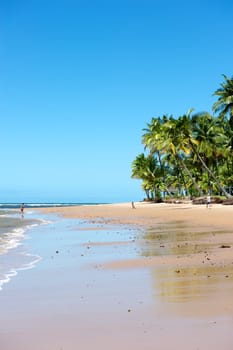 Paradise beach in the Marau Peninsula, Bahia State, Brazil