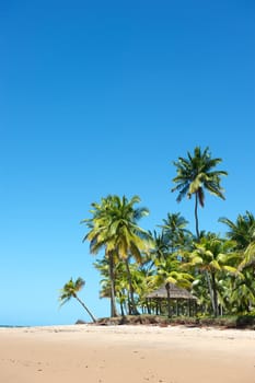 Paradise beach in the Marau Peninsula, Bahia State, Brazil