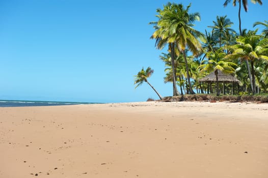 Paradise beach in the Marau Peninsula, Bahia State, Brazil