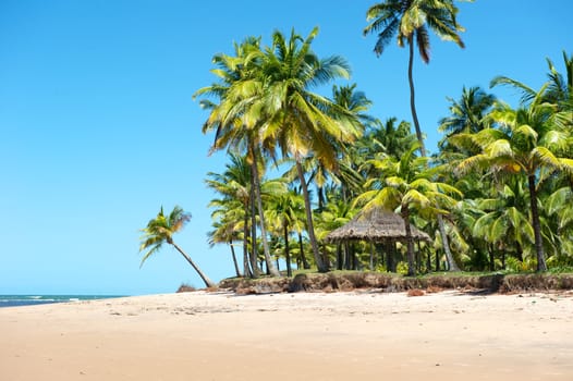 Paradise beach in the Marau Peninsula, Bahia State, Brazil