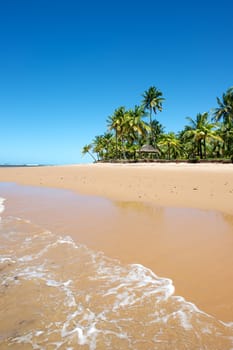 Paradise beach in the Marau Peninsula, Bahia State, Brazil