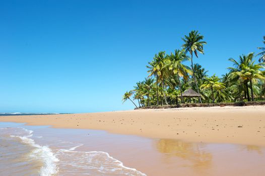 Paradise beach in the Marau Peninsula, Bahia State, Brazil