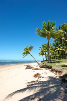 Paradise beach in the Marau Peninsula, Bahia State, Brazil