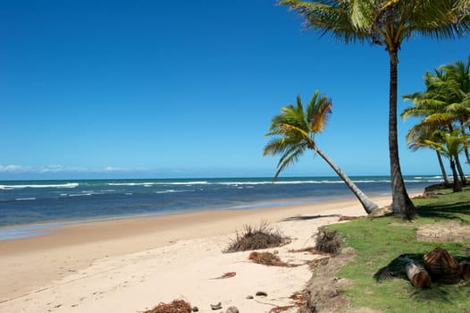 Paradise beach in the Marau Peninsula, Bahia State, Brazil