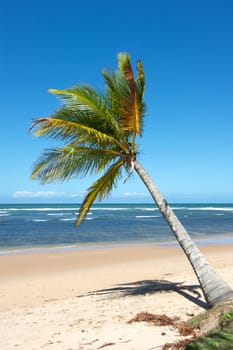 Paradise beach in the Marau Peninsula, Bahia State, Brazil