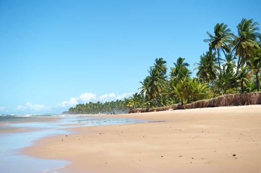 Paradise beach in the Marau Peninsula, Bahia State, Brazil