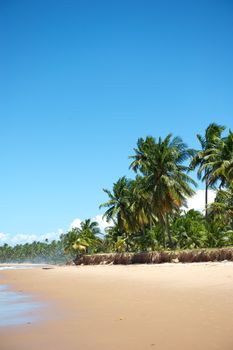 Paradise beach in the Marau Peninsula, Bahia State, Brazil