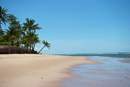 Paradise beach in the Marau Peninsula, Bahia State, Brazil