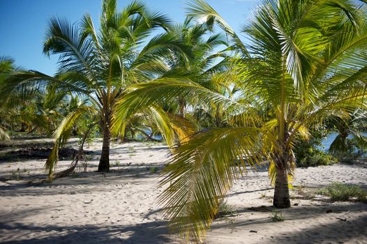 Paradise beach in the Marau Peninsula, Bahia State, Brazil