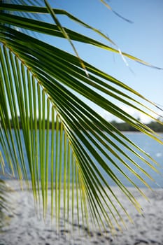 Paradise beach in the Marau Peninsula, Bahia State, Brazil