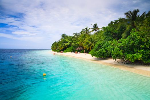 Tropical Paradise at Maldives with palms and blue sky