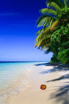 Tropical Paradise at Maldives with palms and blue sky