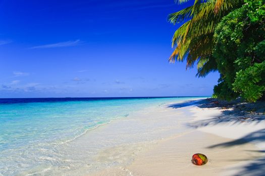Tropical Paradise at Maldives with palms and blue sky
