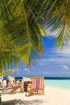 Relaxing on tropical paradise with white sand at Maldives and green palms with blue sky