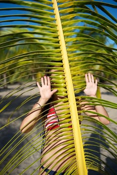 Pretty young woman playing with a palm tree in the Marau Peninsula, Bahia State, Brazil