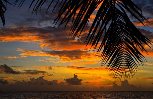 Maldivian Sunset image with nice color