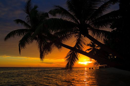 Maldivian Sunset image with nice color